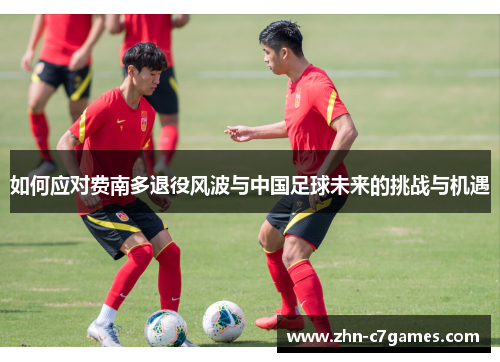 如何应对费南多退役风波与中国足球未来的挑战与机遇