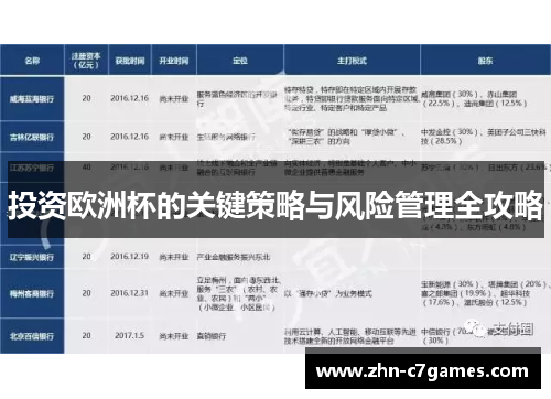 投资欧洲杯的关键策略与风险管理全攻略